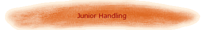 Junior Handling
